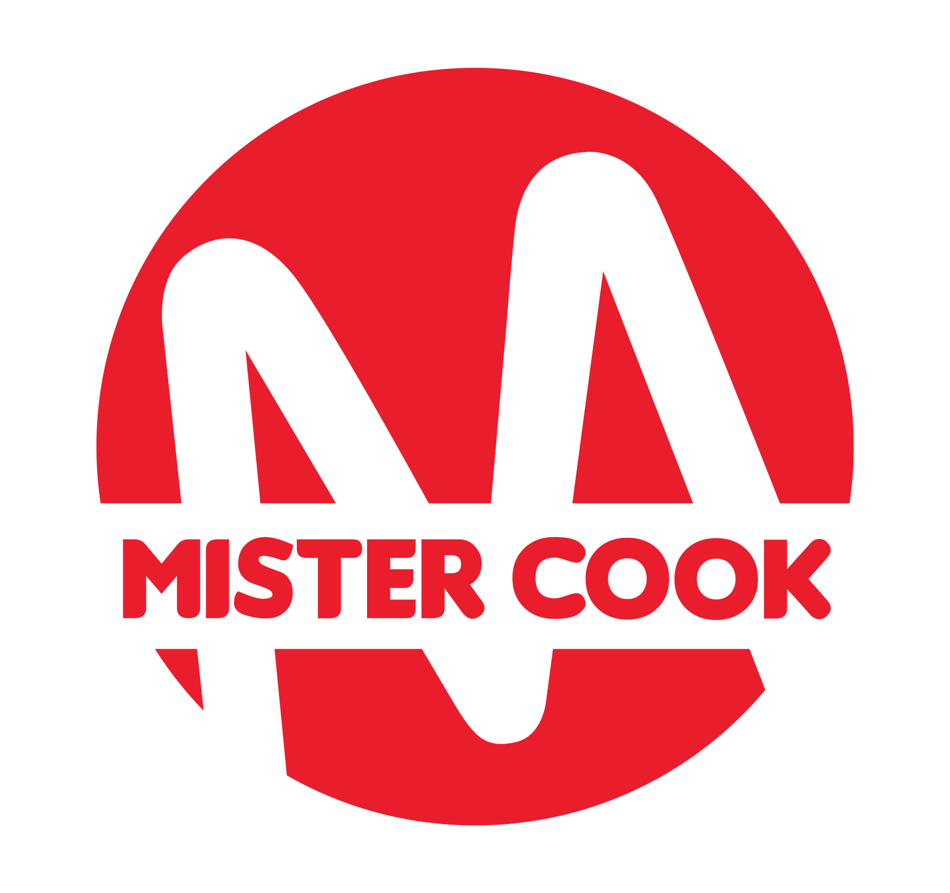 Mister Cook agadir 